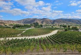 The Wedding Website of Katie Park and Jack Beetham