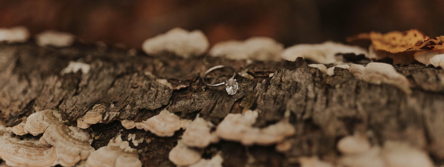 The Wedding Website of Alexa Ficarella and Dean Almeter