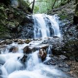 Uvas Canyon County Park