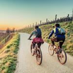Easybike Maremma Tuscany Bike Tour
