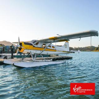 Sunset Seaplane Tour with Champagne Toast - San Francisco