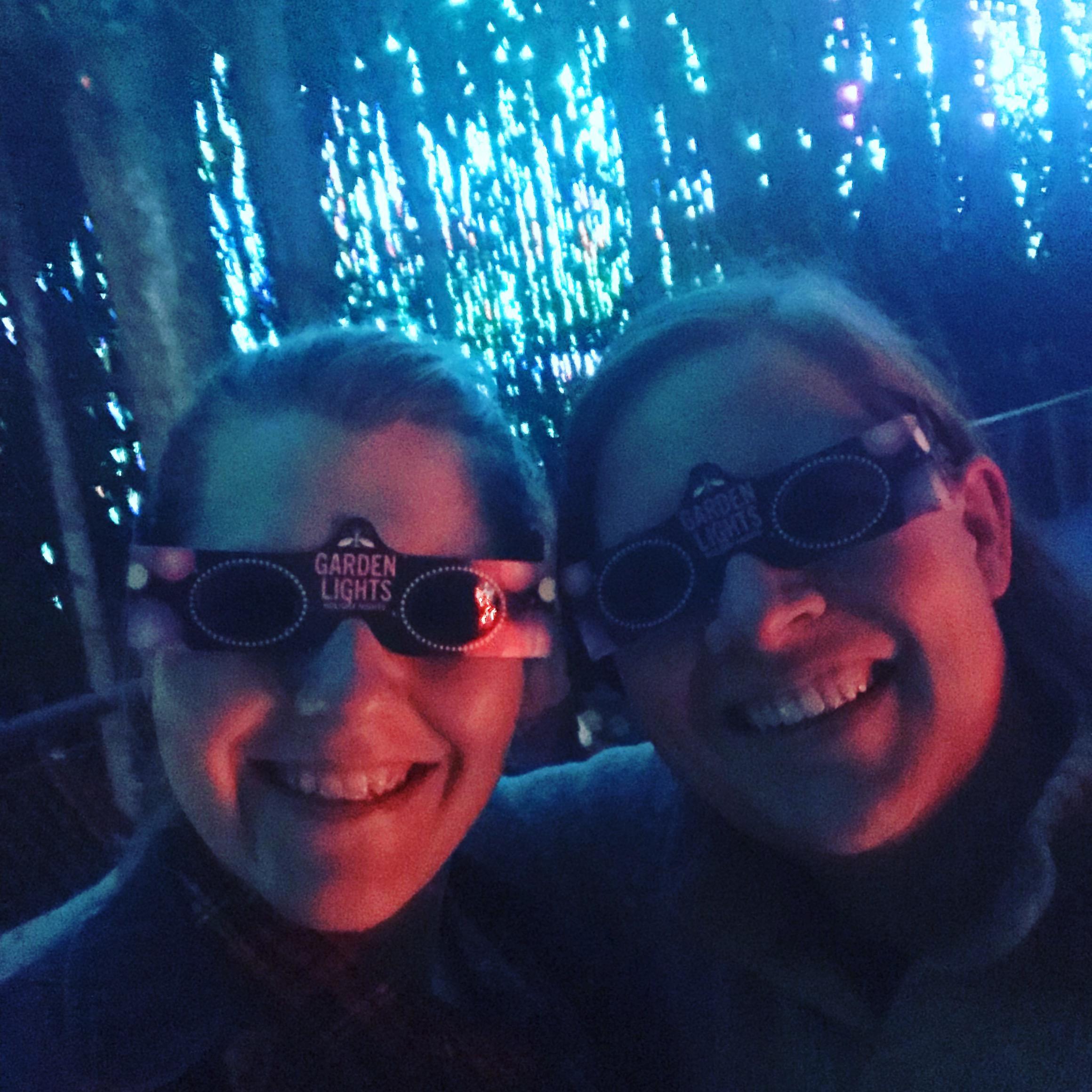Botanical Gardens Christmas Lights 2018