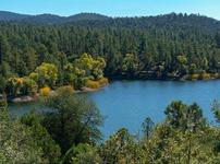 Lynx Lake