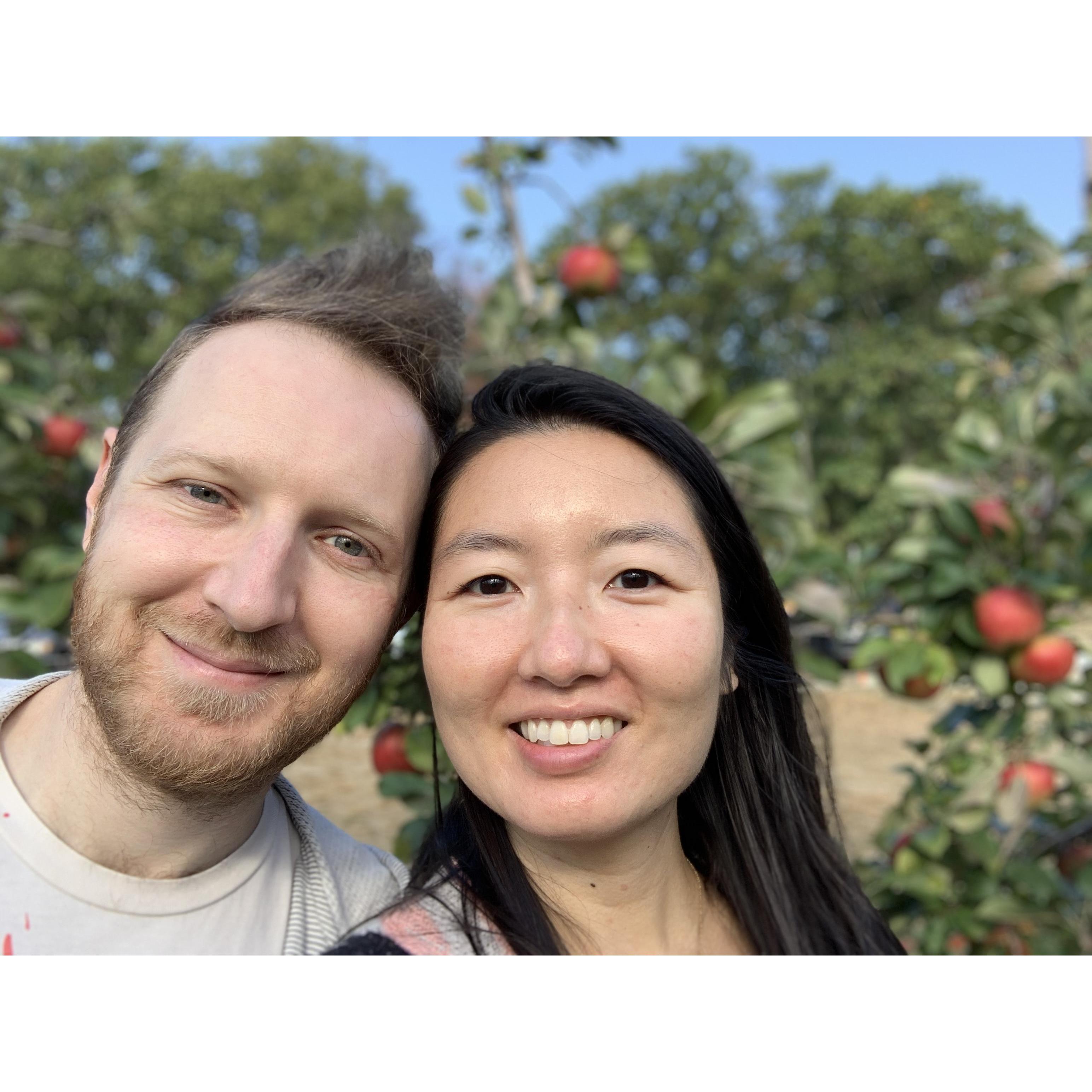 Apple picking - October 2020