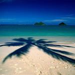 Local Beaches