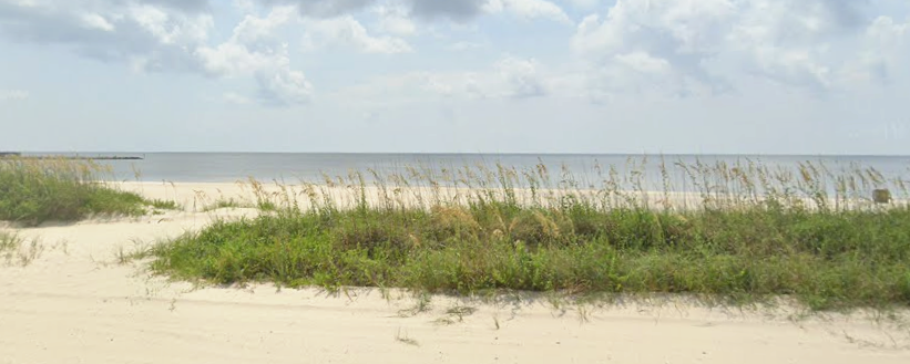 The Wedding Website of Brett Adams and Merriam Scafide