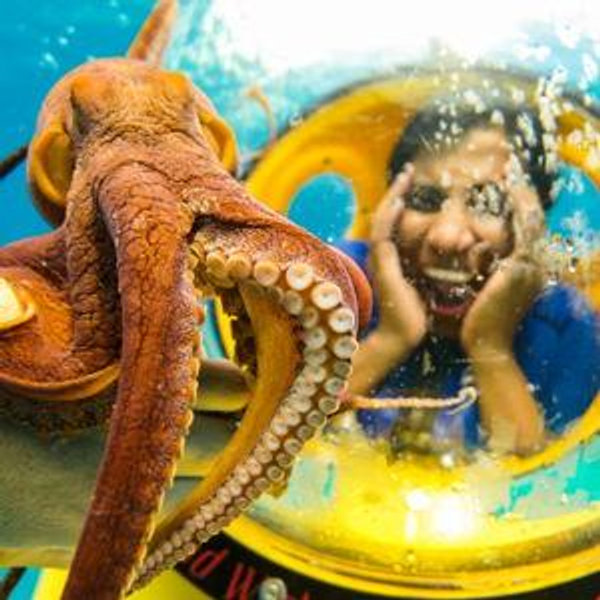 Honeymoon Watersports