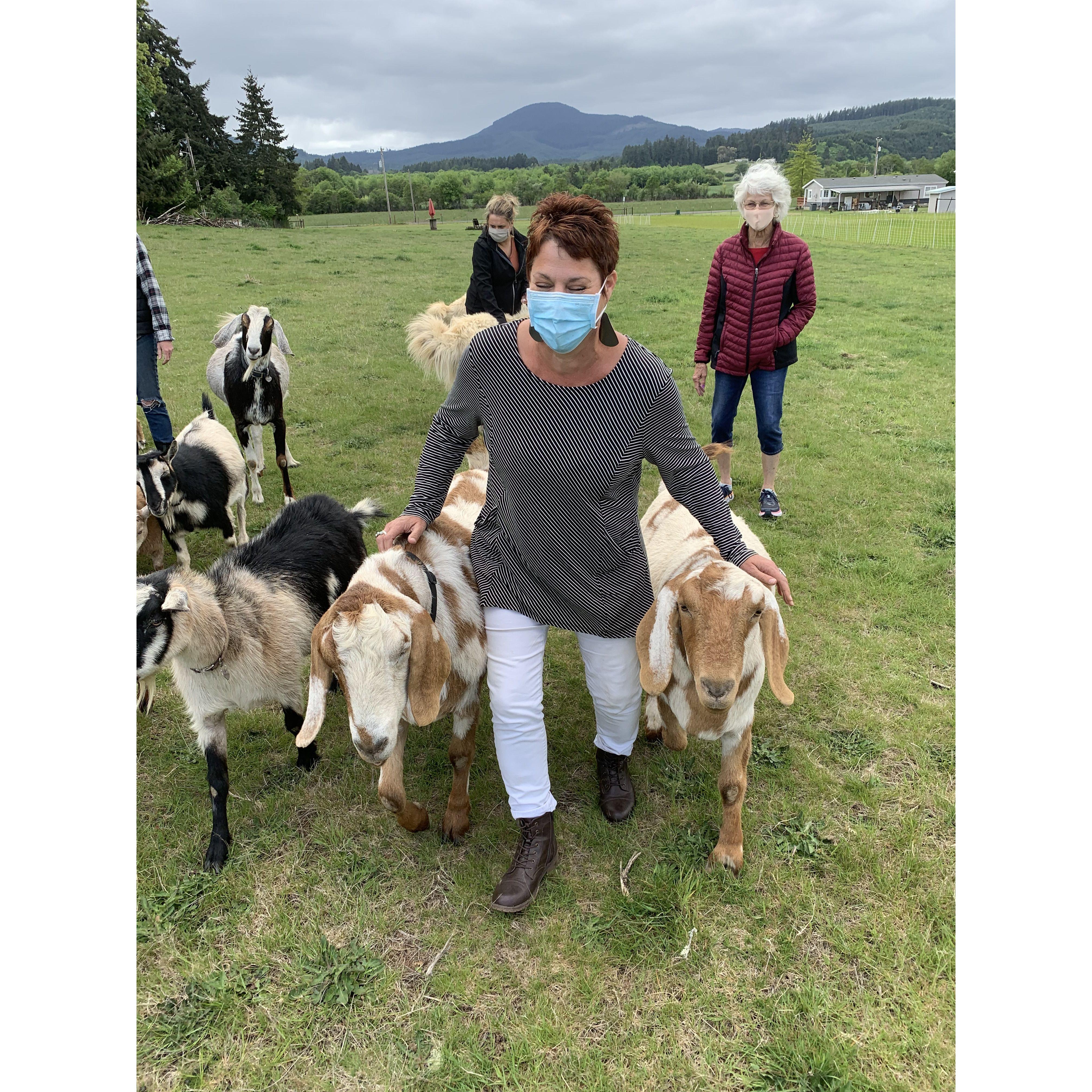 No Regrets Goat Farm - So happy!! Monroe, OR