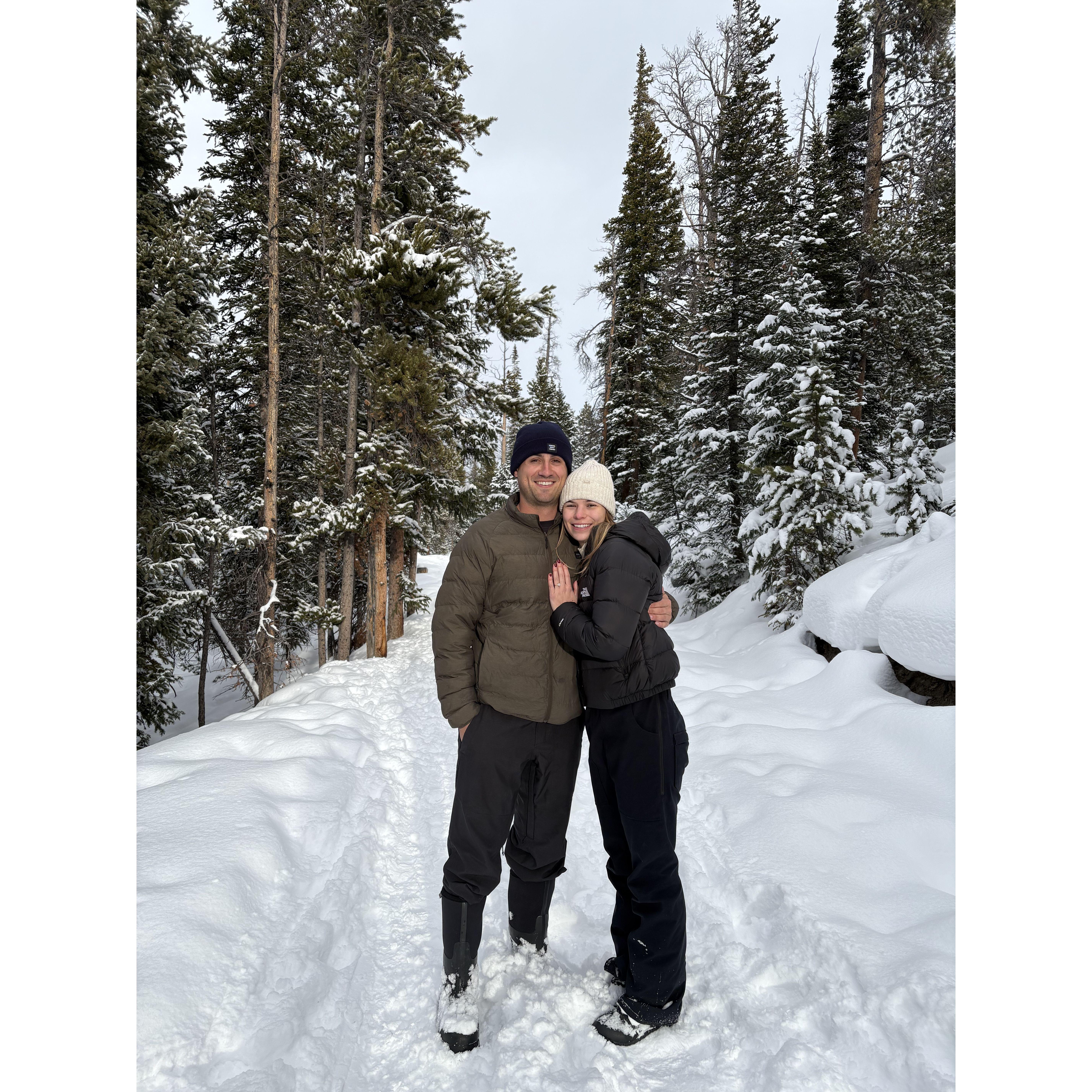 Engagement, December 2024