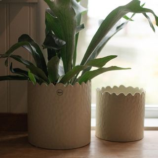 Flowery Small Pot