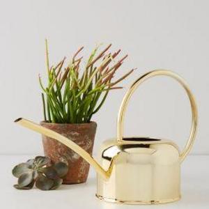 Golden Watering Can