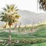 The Living Desert Zoo and Gardens