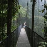 Puentes Colgantes Arenal, Mistico Park