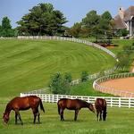 Visit Horse Country - Farm Tours