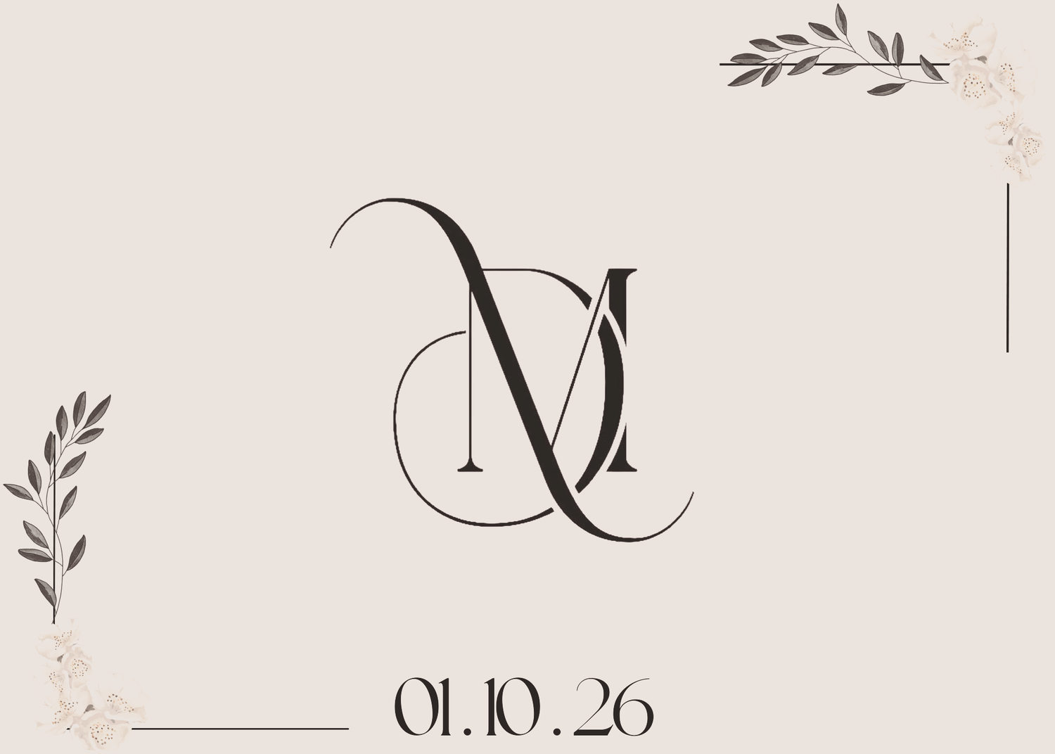 The Wedding Website of Destini Thao and Mike Mayse