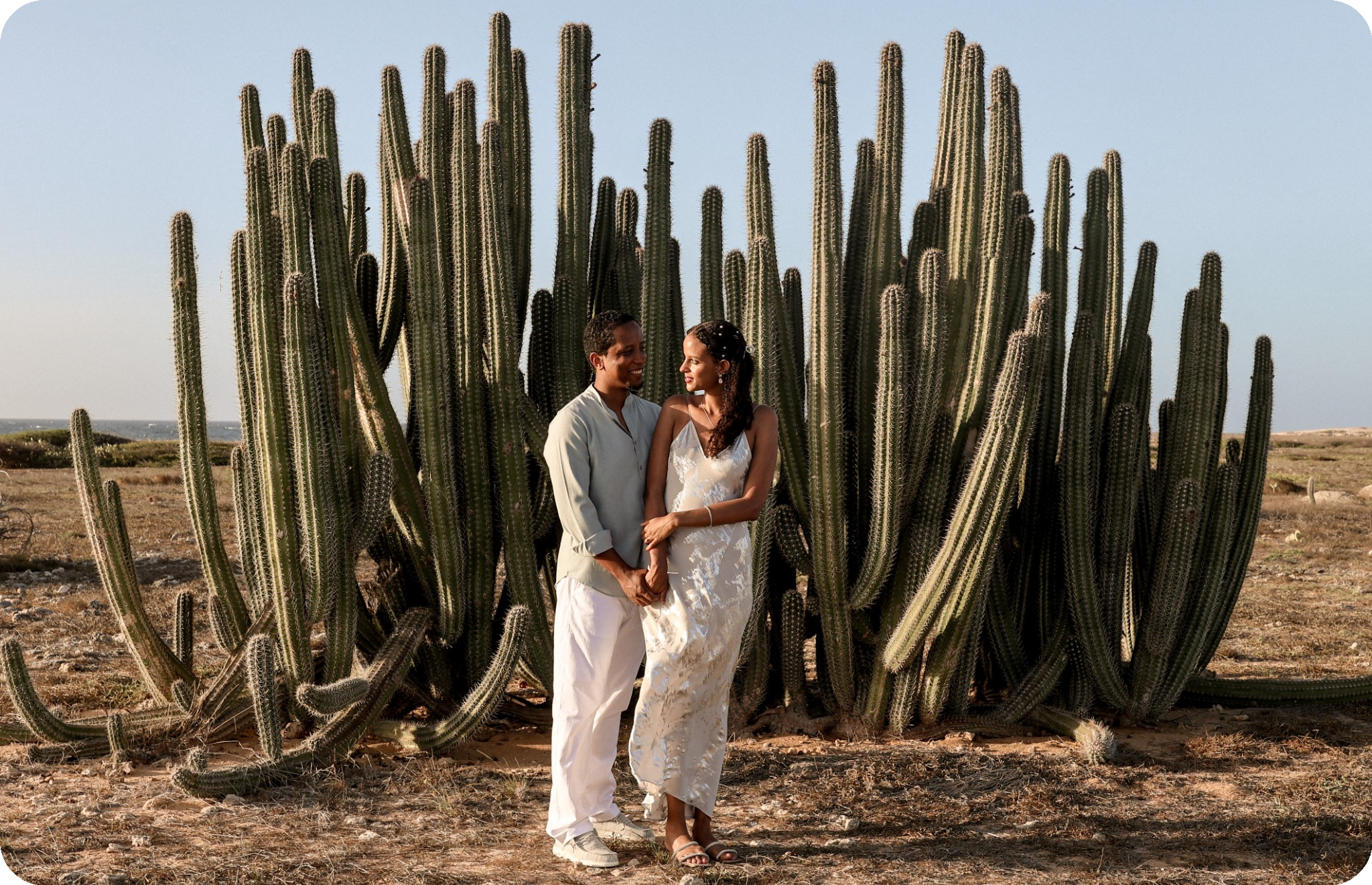 The Wedding Website of Hiyab Bayne and Brook Chernet
