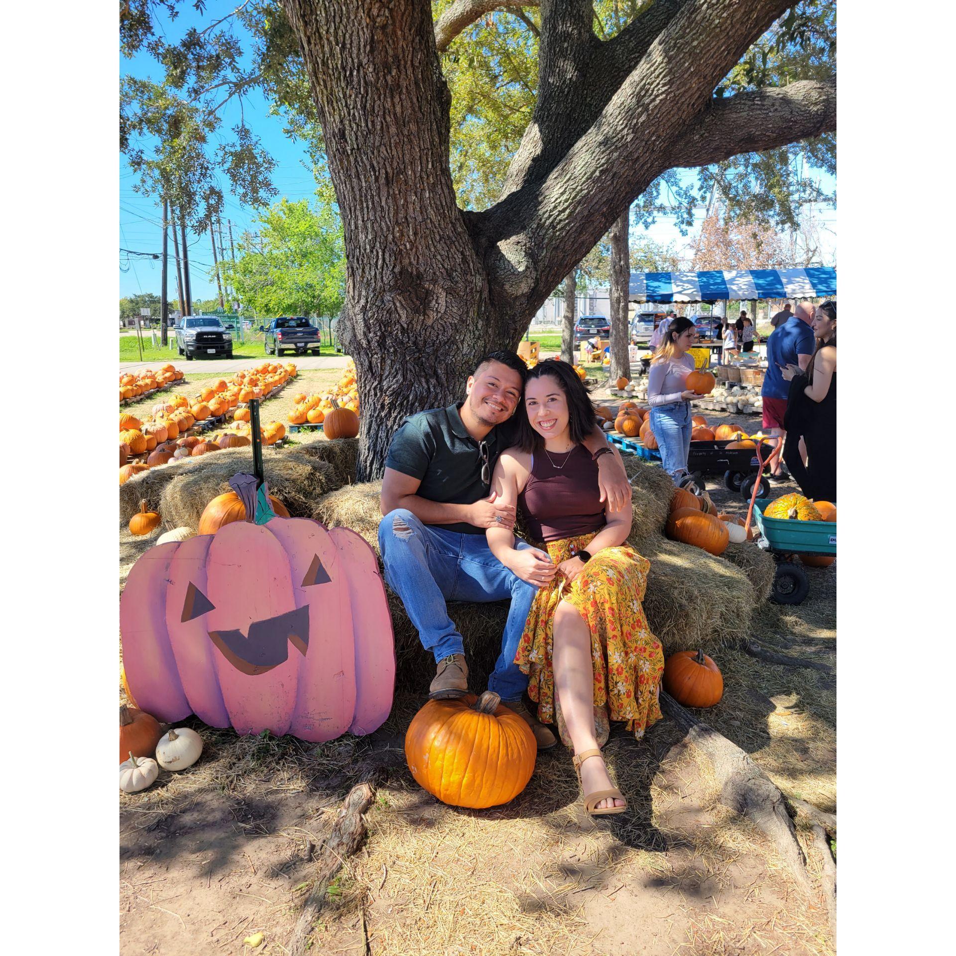 First pumpkin patch