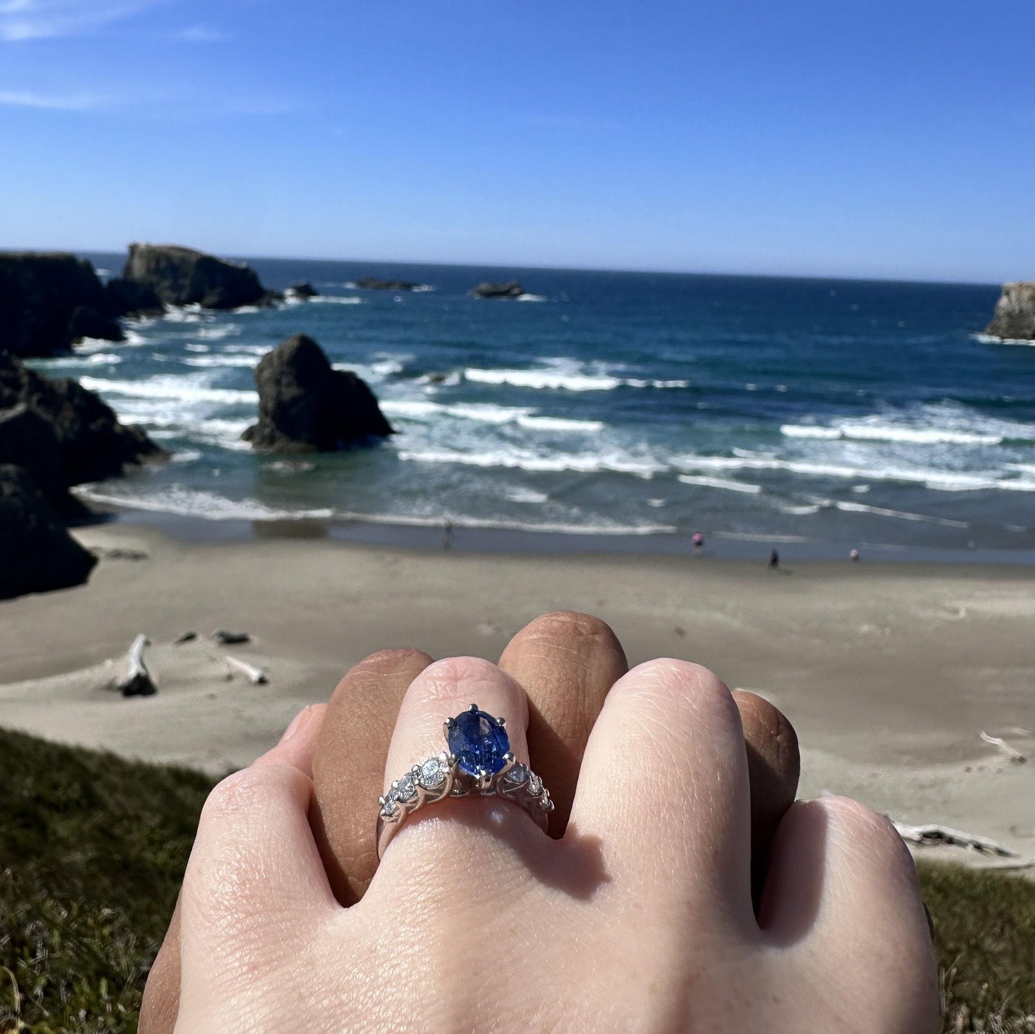 Jorge proposed on seaside cliffs in Oregon