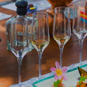 Tequila Tour