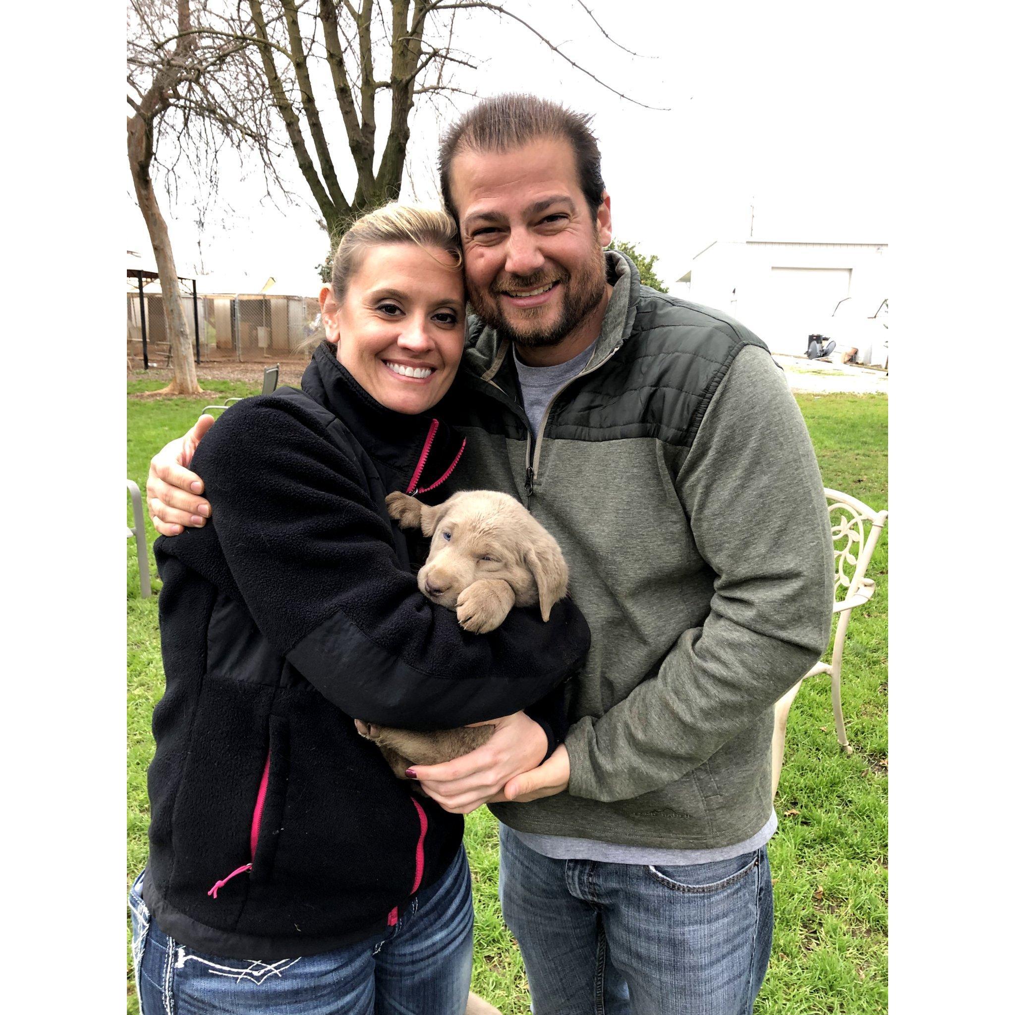 The day we picked Tank we began our little family!