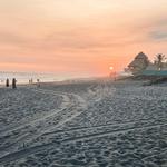 Monterrico and El Paredón (3-4 hr drive)