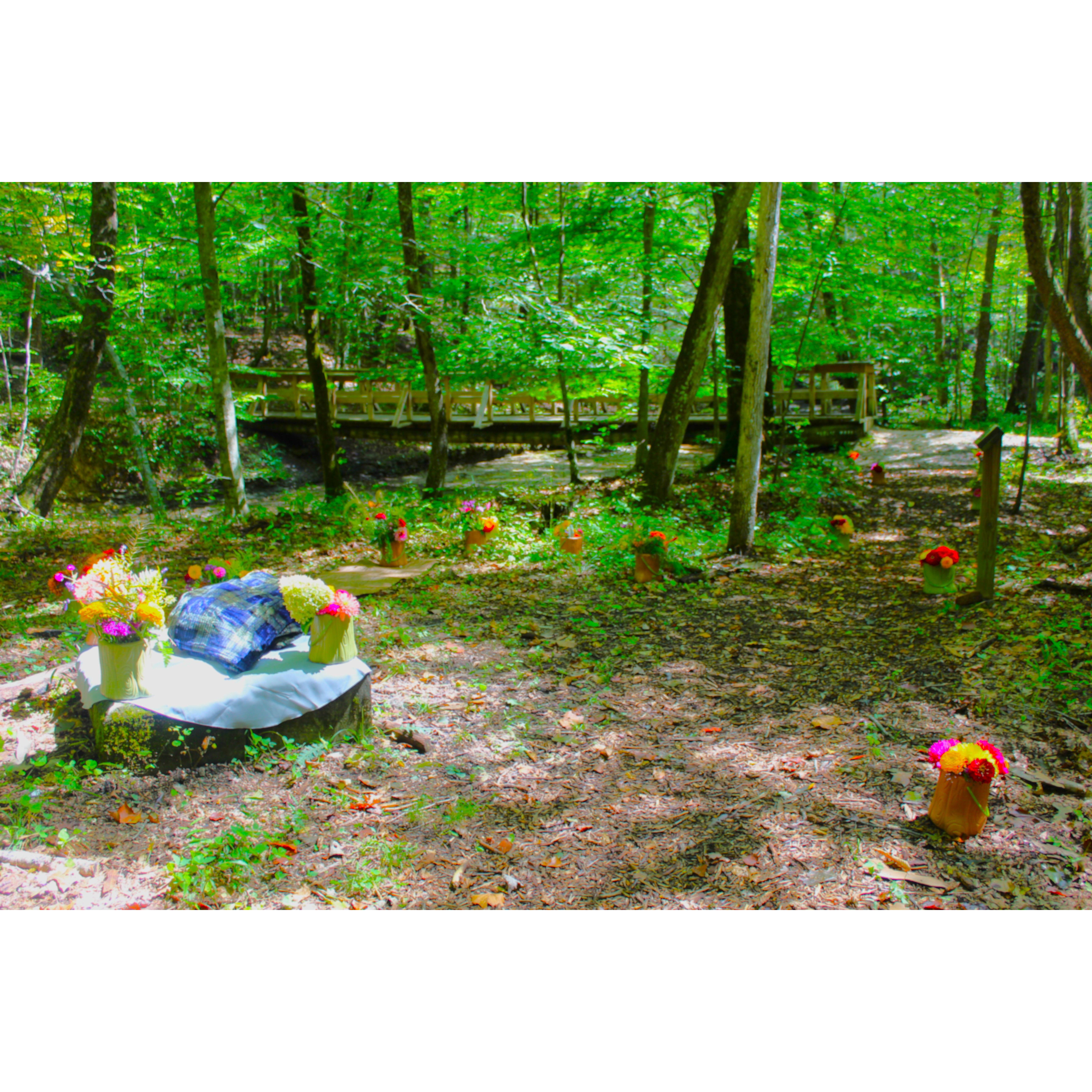 Collette and Sony set up a van full of floral arrangements for the special day. They did a fabulous job!