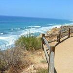 Torrey Pines State Reserve
