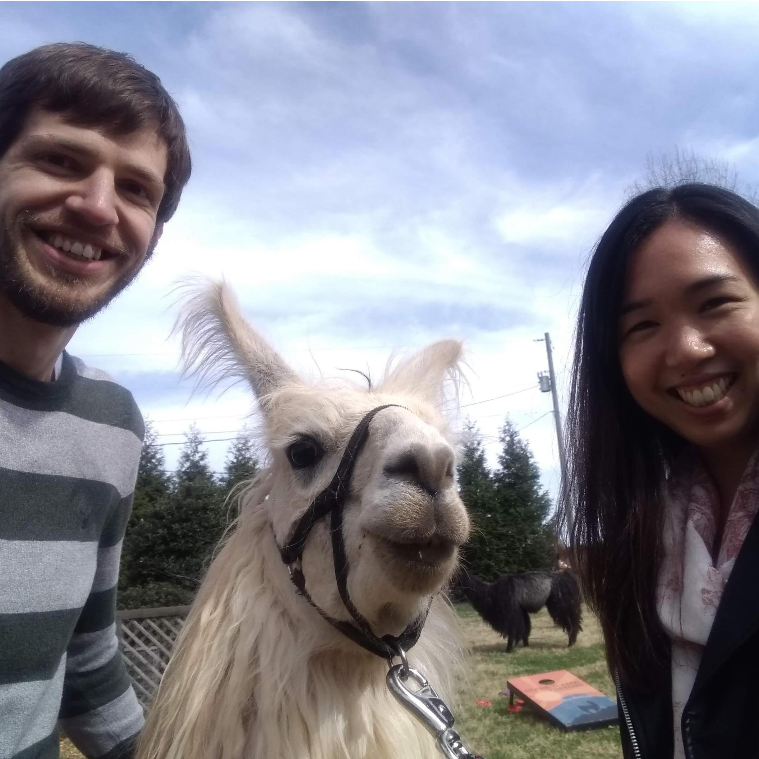 A fun trip out to a llama farm and winery. This is George. Sometimes he spits. He is forever immortalized on each of our butts.