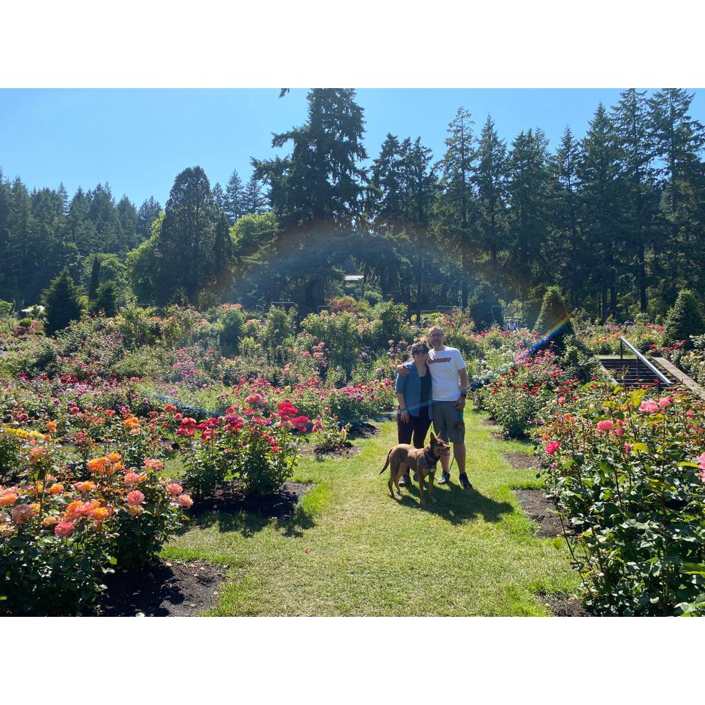 International Rose Test Garden in Portland