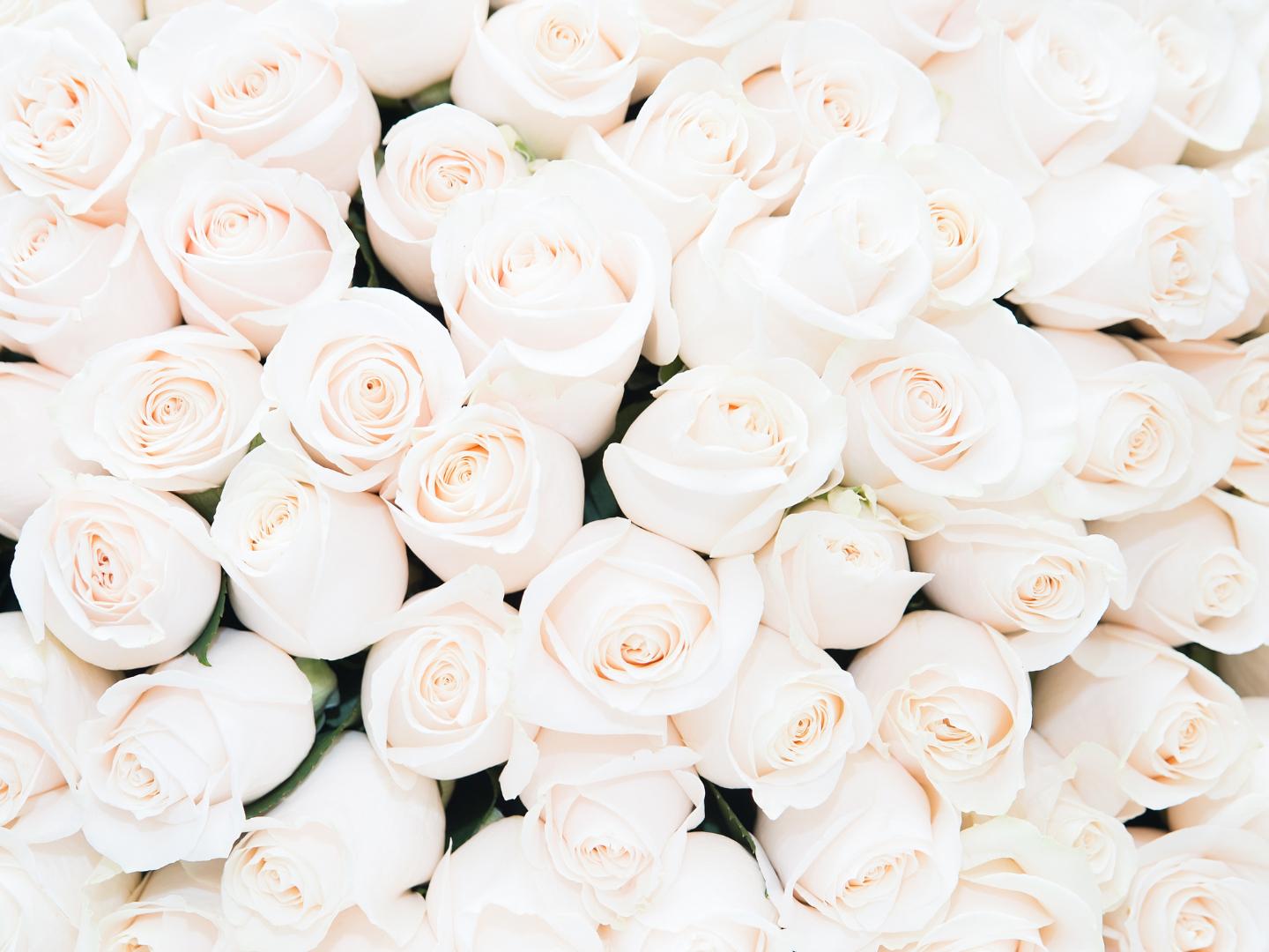 The Wedding Website of Jessica O’Rourke and Jonathan Jackson