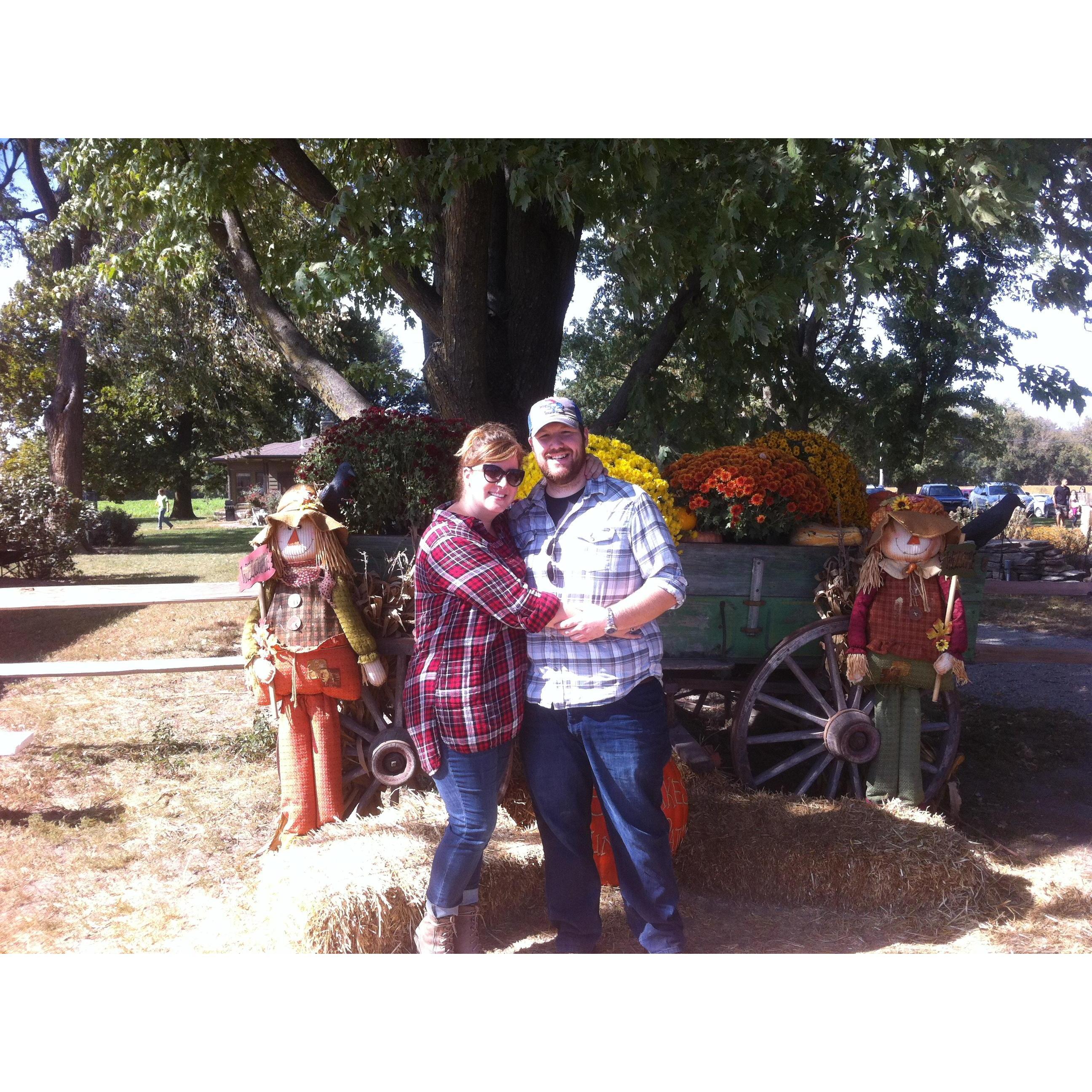 Pumpkin patch