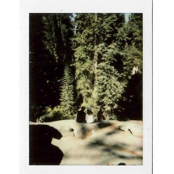 heather's 30th bday, side by side at sequoia national park, another visitor was inspired to take this polaroid, and gifted it to us 🌲