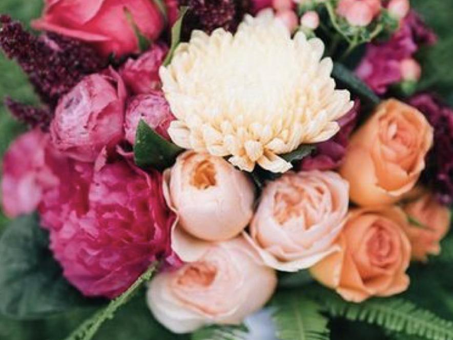 The Wedding Website of Gina Trevino and Carlos Barraza