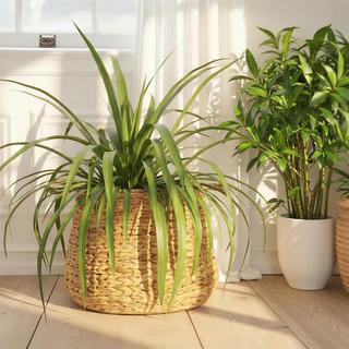 Handwoven Seagrass Basket with Handles