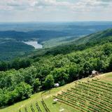 Fainting Goat Vineyards & Winery