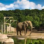 Cleveland Metroparks Zoo