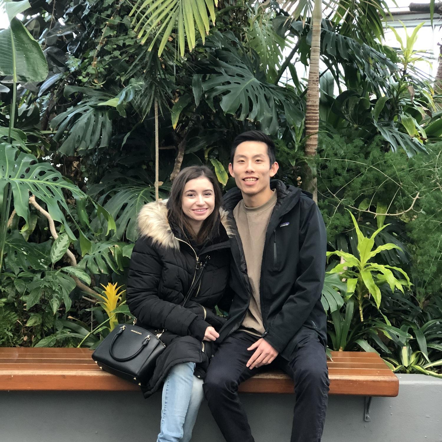 Navy Pier Terrarium