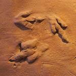 St. George Dinosaur Discovery Site at Johnson Farm