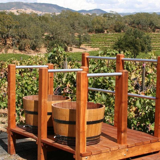 Wine Tasting- Sedona
