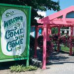 Small Talk Vineyards