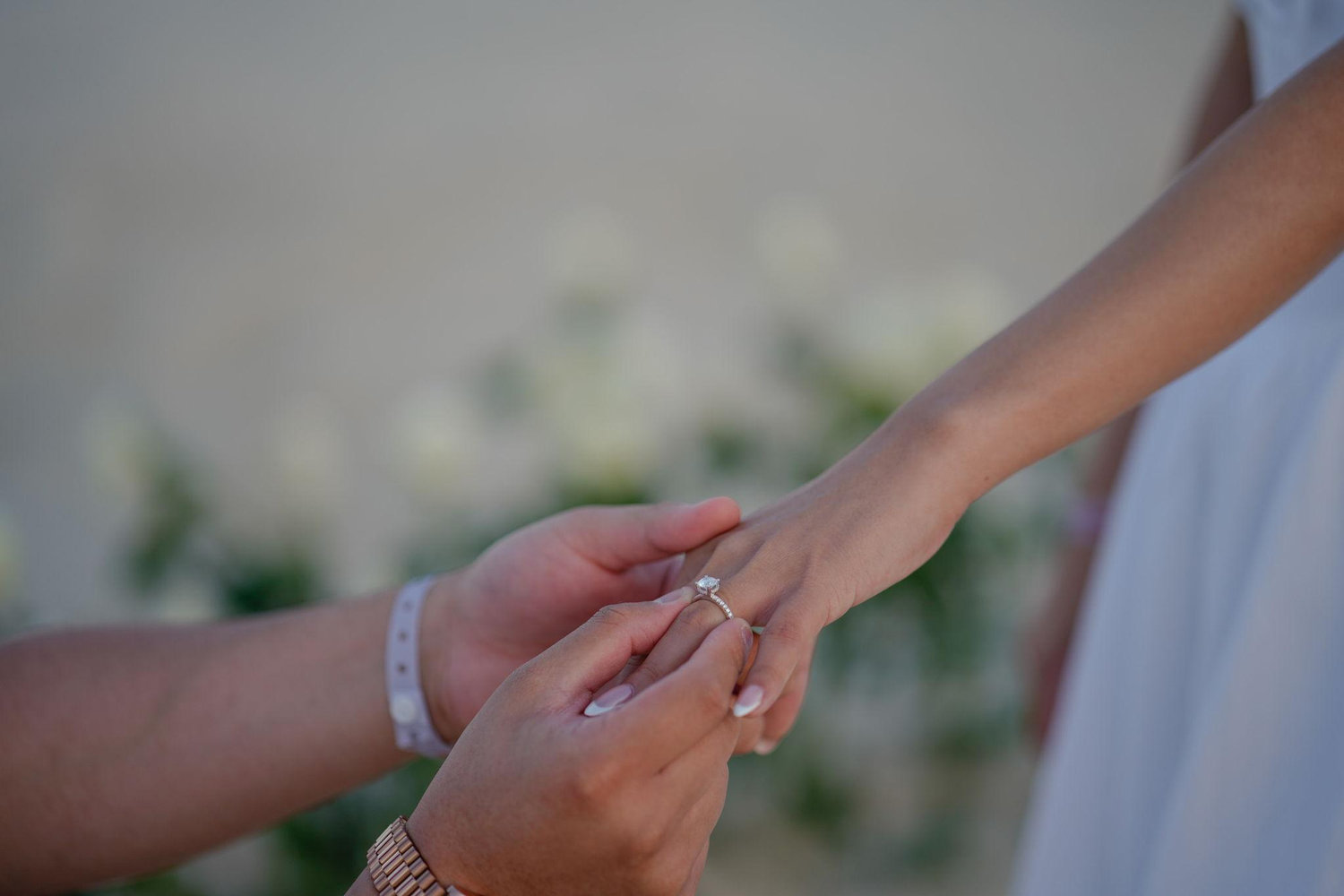 The Wedding Website of Tommy Nguyen and Veronica Luna