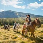 Yellowstone Horse & Mule