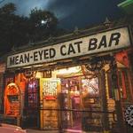Mean Eyed Cat