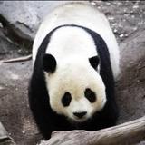 San Diego Zoo