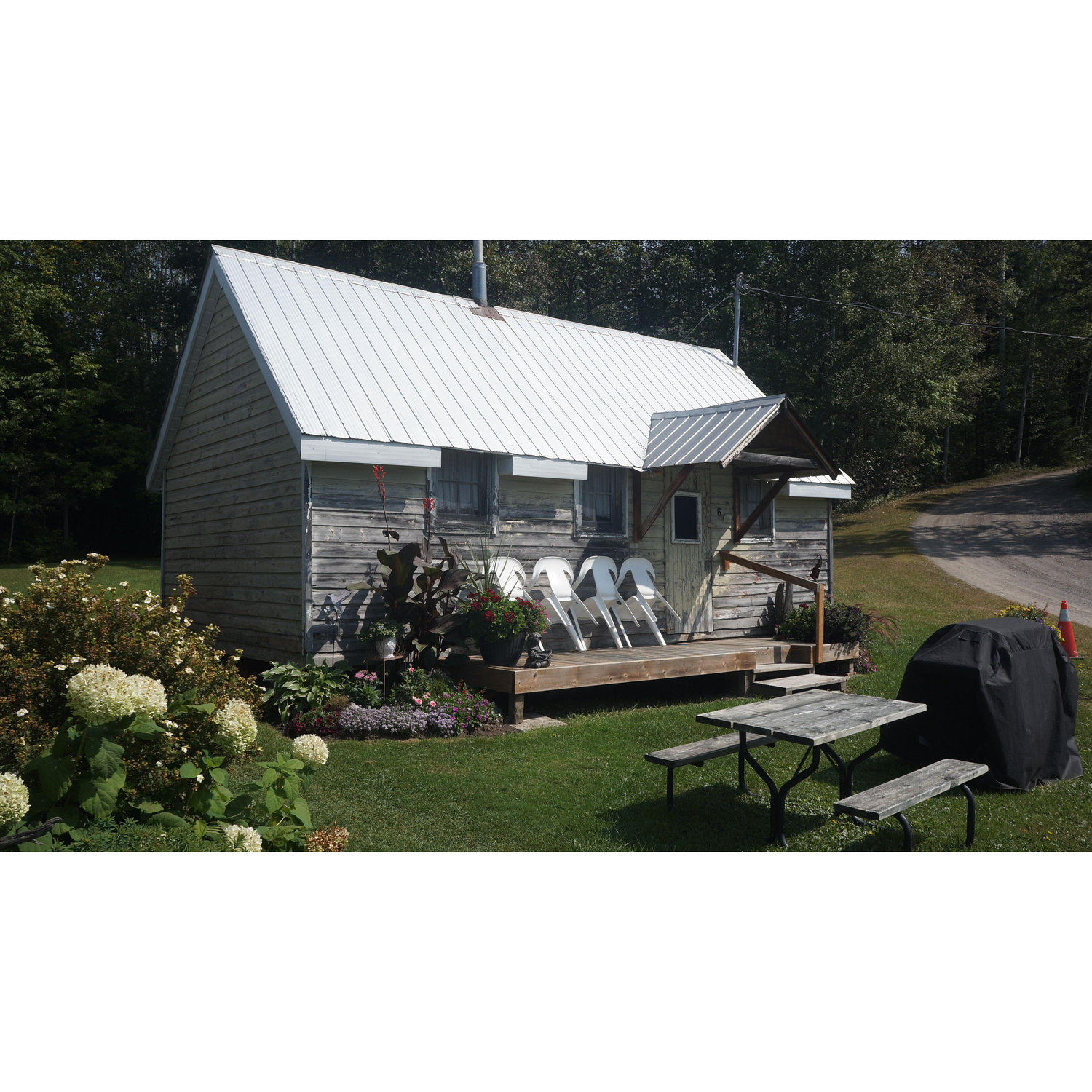 Cabin #6