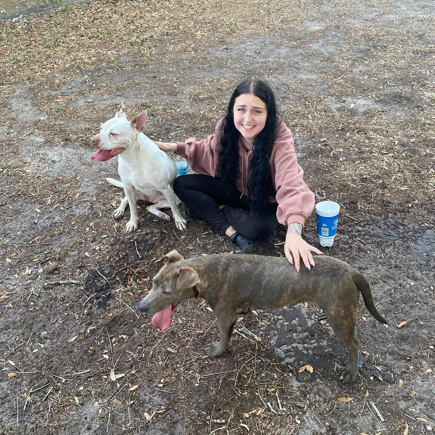 Hit a bit of a snag in the trip home. Locked the keys in the car at a gas station by Tampa, oops. Called AAA, just have to wait. Ani makes two new friends and keeps them safe and cool.
