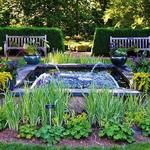 The Frelinghuysen Arboretum
