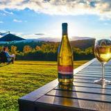 Serre Vineyards