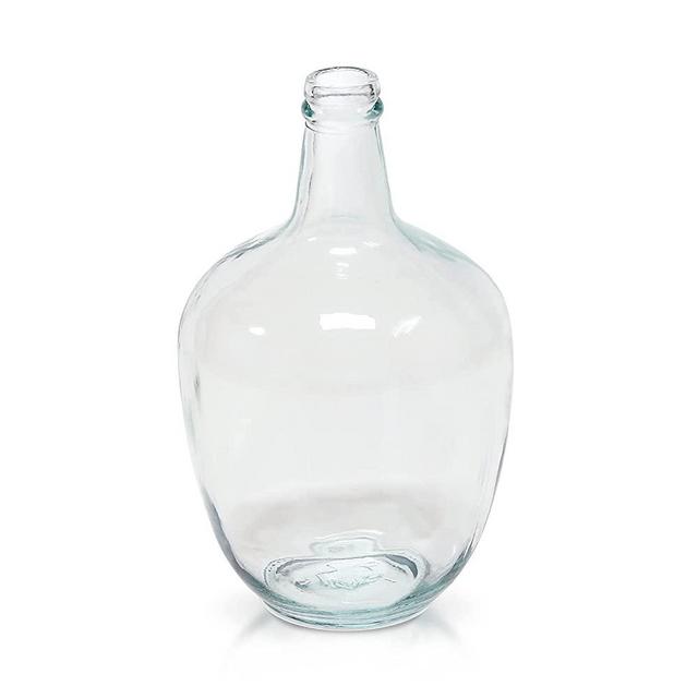 Clear Glass Vase for Decor, Big Belly Bubble Flower Bottle for Home Countertop, Shelf, Centerpiece and Shelf Decoration（6.3x6.3x10 In）
