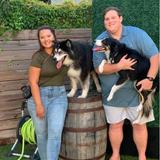 Two Shepherds Taproom